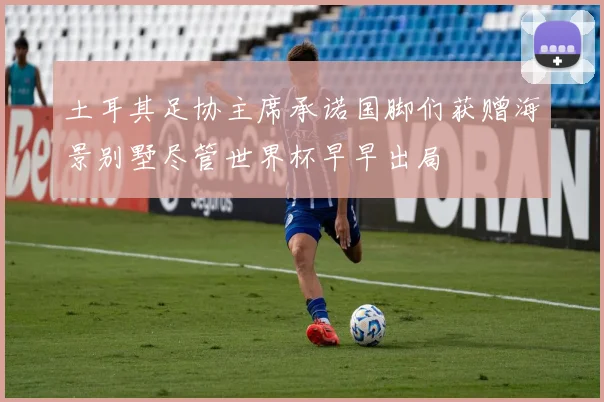 土耳其足协主席承诺国脚们获赠海景别墅尽管世界杯早早出局
